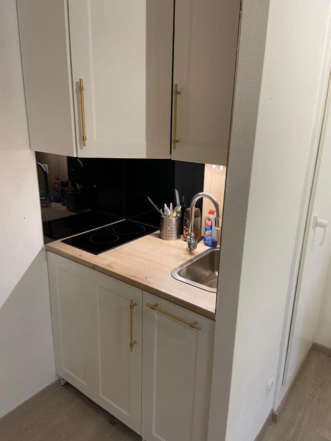 Appartement Esplanade Strasbourg Ngoại thất bức ảnh