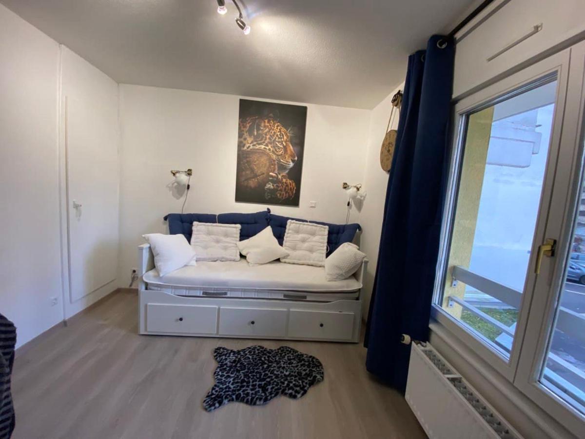 Appartement Esplanade Strasbourg Ngoại thất bức ảnh